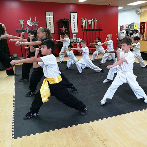 Ten Tigers Kung Fu Academy Young Tigers Kung Fu